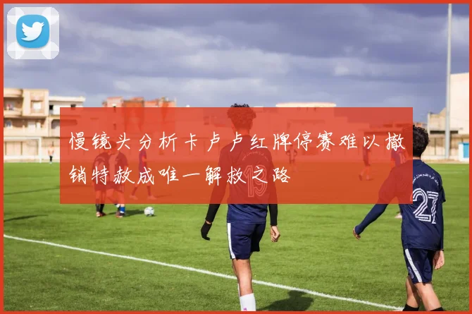 慢镜头分析卡卢卢红牌停赛难以撤销特赦成唯一解救之路