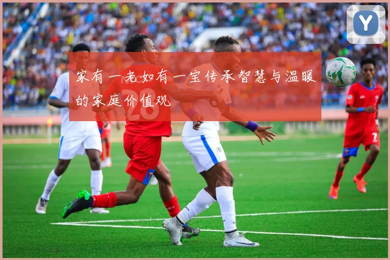 家有一老如有一宝传承智慧与温暖的家庭价值观